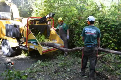 tree services Yarnell